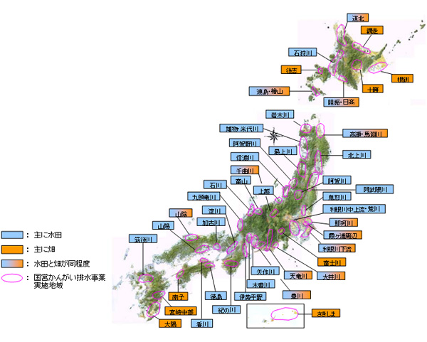 重点的実施