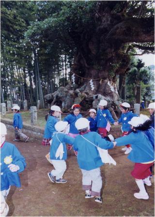大クスと園児たち