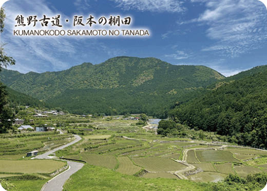 三重県熊野古道・阪本の棚田の画像データ