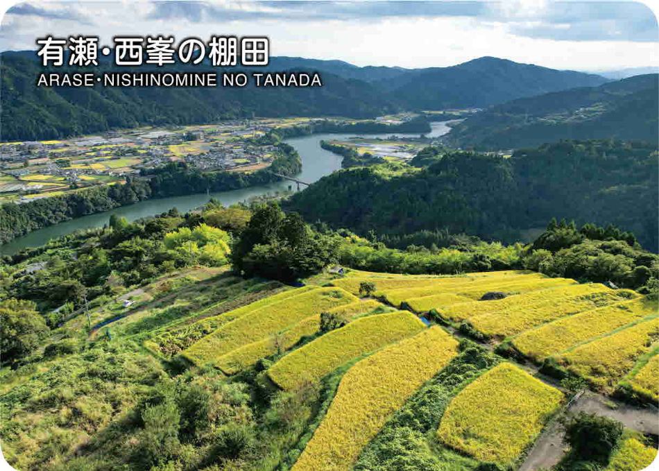 有瀬・西峯の棚田