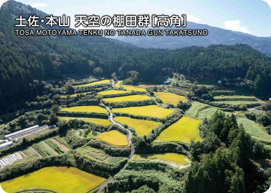 土佐・本山天空の棚田郡➁（高角）