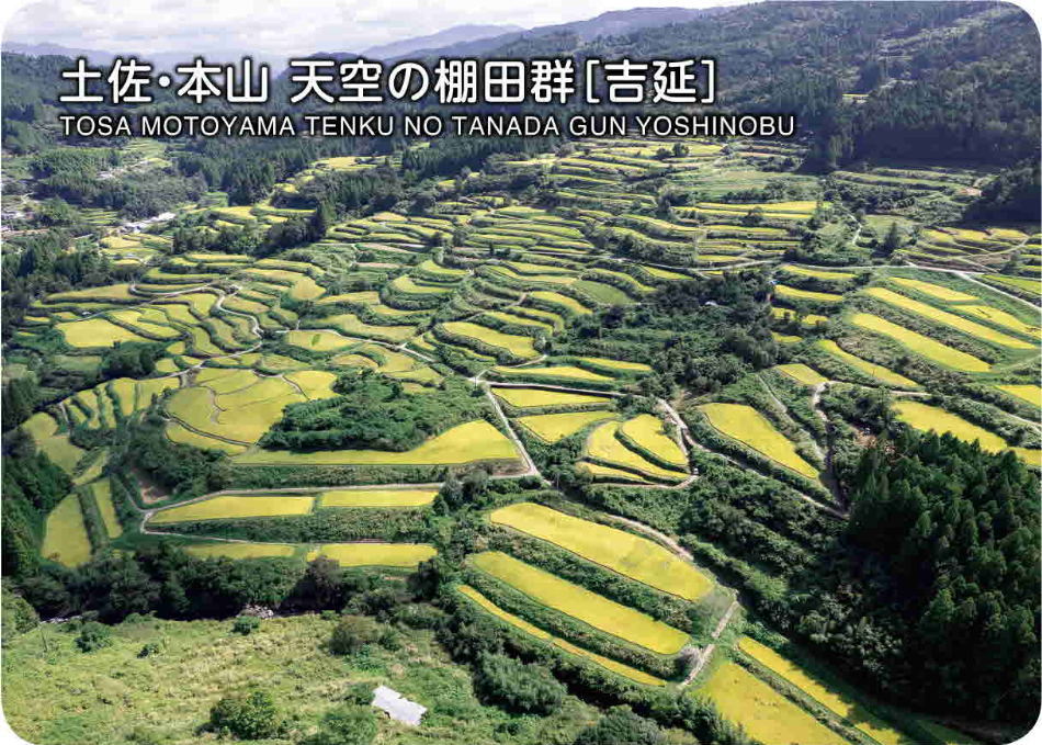 土佐・本山天空の棚田郡➂（吉延）