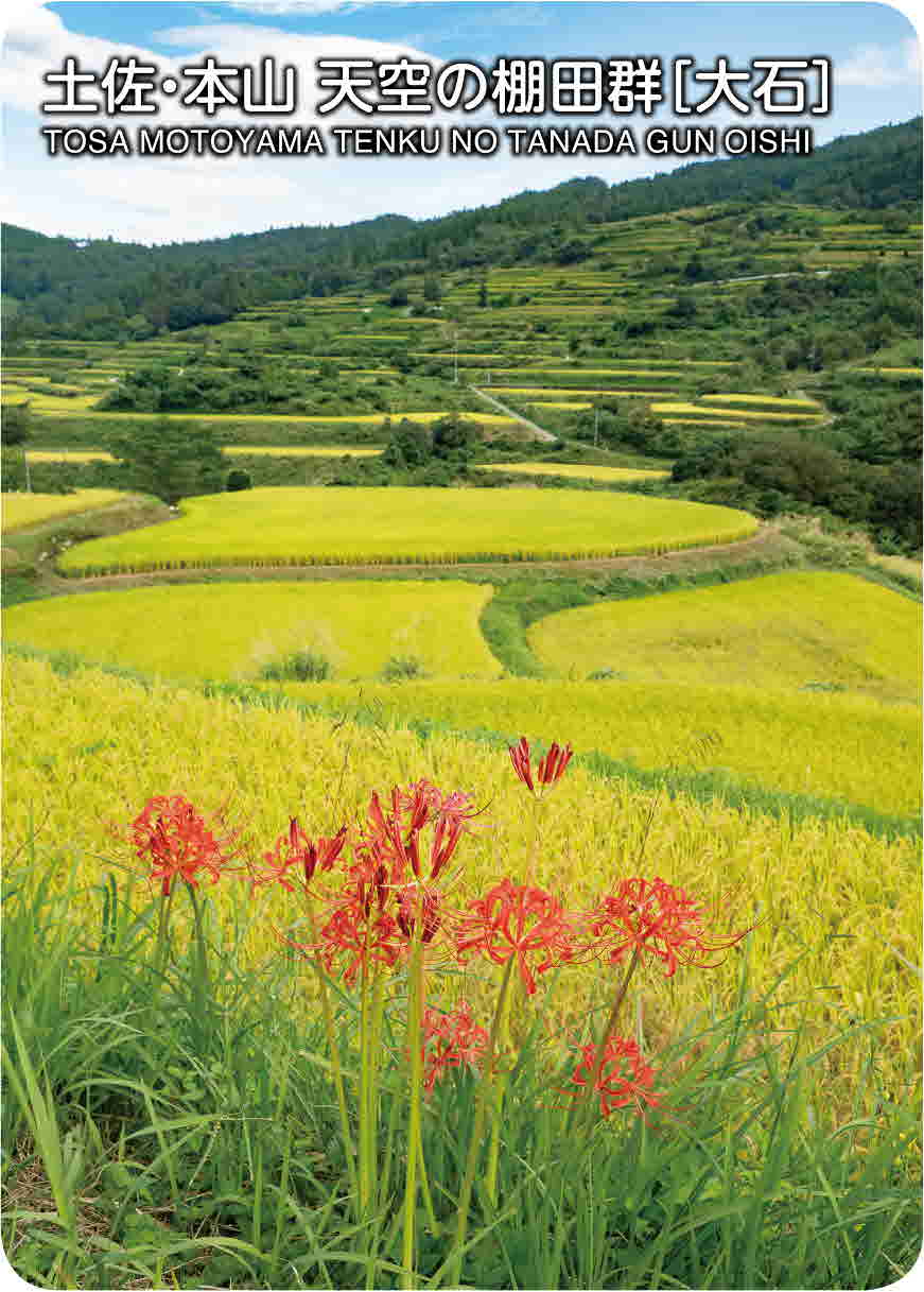 土佐・本山天空の棚田郡➃（大石）