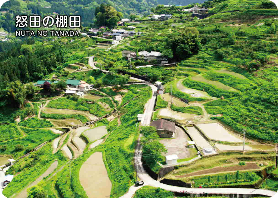 怒田の棚田