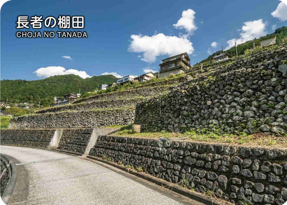 長者の棚田