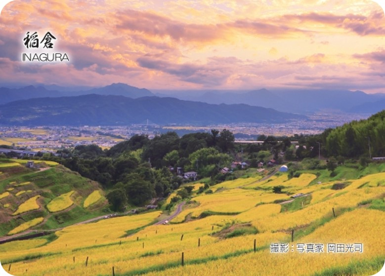 稲倉