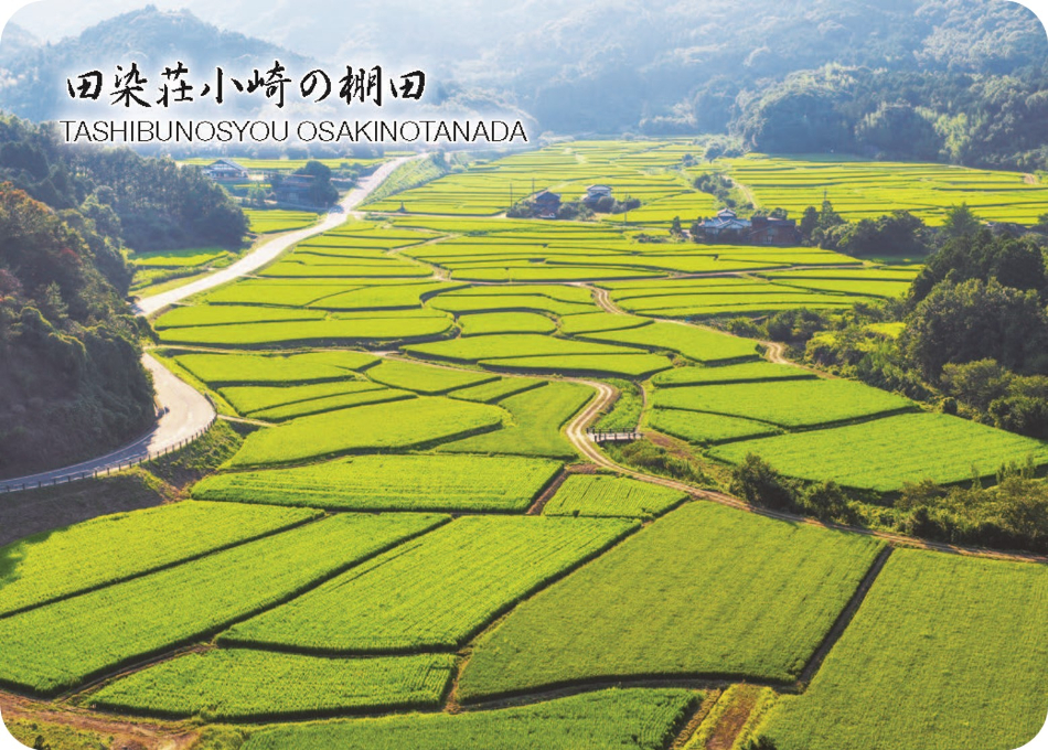 田染荘小崎の棚田