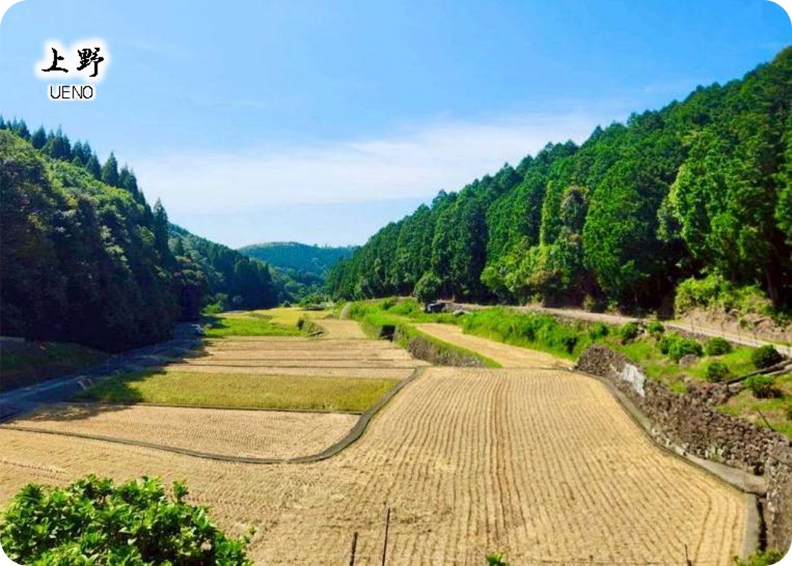 上野