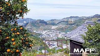 海南市