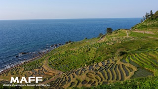 輪島市
