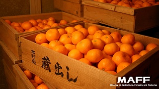 海南市②