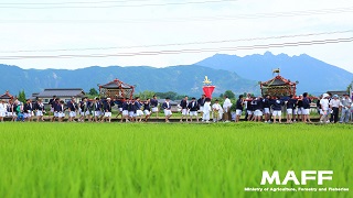阿蘇市