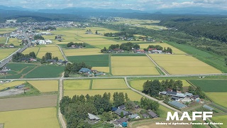 大崎市①