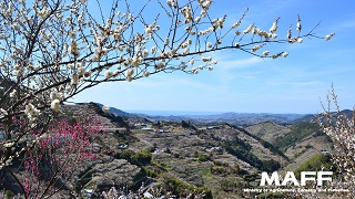 みなべ町②