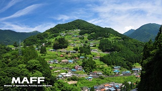 三好市