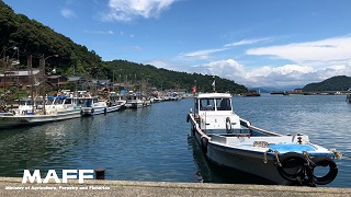 琵琶湖①