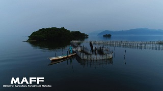 琵琶湖②