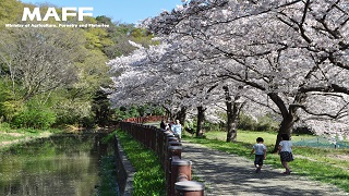 さいたま市