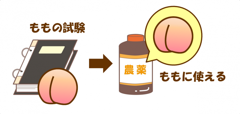 ももの試験