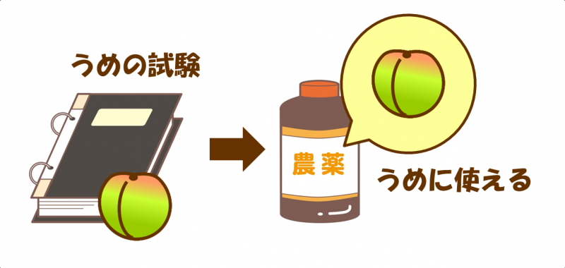 うめの試験