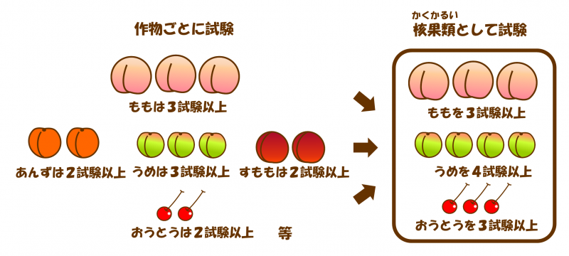 試験数の例