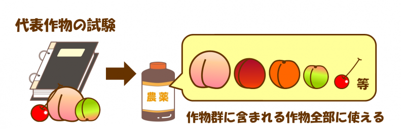 代表作物の試験