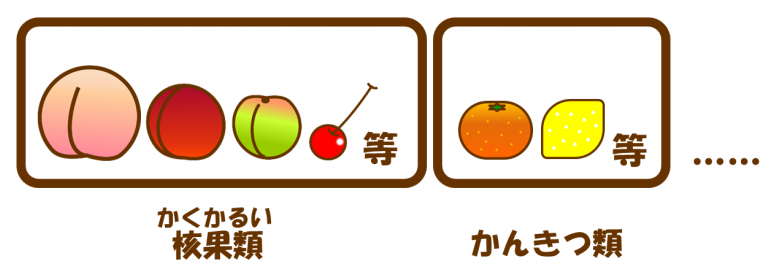 核果類とかんきつ類