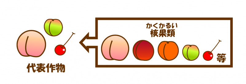 代表作物（核果類）