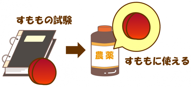 すももの試験