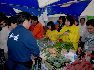 食べて応援しよう!東日本野菜フェア3