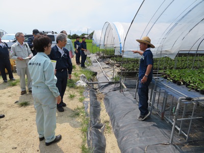 氷川町でいちご被害の説明を受ける山本農林水産大臣政務官
