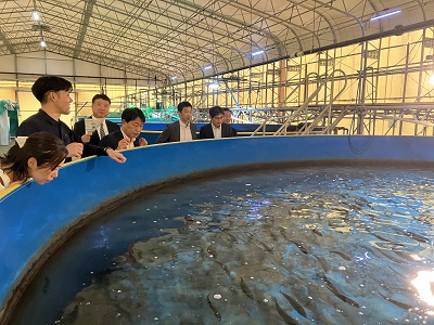 地下海水を利用した陸上養殖施設でサバの生産状況について説明を受ける武村農林水産副大臣