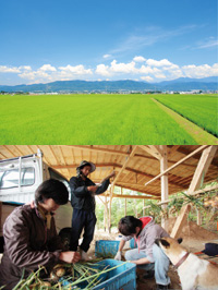 aff(あふ)2012年7月号 特集の写真1