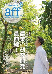 aff(あふ)2013年6月号表紙