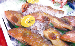 2014年12月17日現在、23道府県から66魚種が「プライドフィッシュ」として選定され、公式ホームページで紹介中