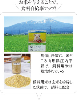 お米を与えることで、食料自給率アップ！