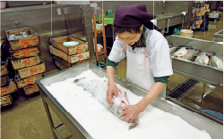 塩引き鮭を作る加工場「鮭こうば」では、数多くの鮭が吊るされていた。干し場では乾燥機は使わず、天然の寒風が吹き抜ける構造に。塩引き鮭やハラコ、カズノコを麹で仕込み、2週間かけて手作りする飯寿司も好評。飯寿司は村上のお正月に欠かせない料理で、ウェブサイトからも取り寄せ可能 