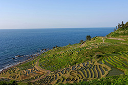石川県輪島市白米町（しろよねまち）にある「白米千枚田」。毎年10月中旬から3月中旬にかけて、日没後にライトアップする「あぜのきらめき」を開催