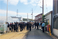 平野軟弱野菜部会