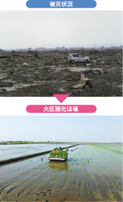 被災状況／大区画化ほ場