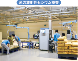 米の全袋検査（福島県全域で実施）
