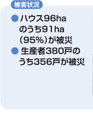 被害状況