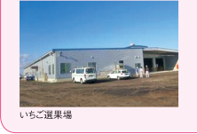 いちご選果場