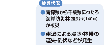 被災状況