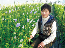 南相馬市で実証研究に取り組む、農家の堀内知子さん 