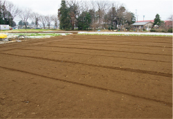 鶴ヶ島市内の約40aの畑。少量多品目を作付けしていたときは、年間で40～50品目の野菜を栽培していた