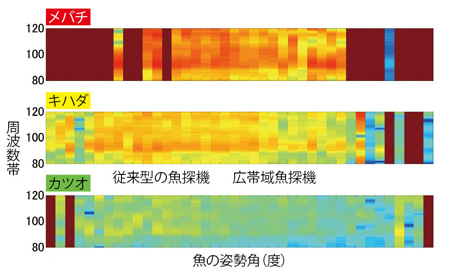 魚探機は、特定の周波数を中心とした超音波を一度に発している。従来型の魚探機はその周波数の幅が狭いため、「魚の群れ」程度しか判別できない。一方、広帯域魚探機は、周波数の幅が格段に広いので、細かな色分布が画面に映る。これが「魚1匹」まで判別できる手助けになっている