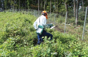 生息密度が高くなっているニホンジカによる造林木への食害被害を防ぐため、設置したシカ柵を点検してまわる