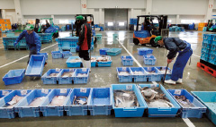 石巻魚市場