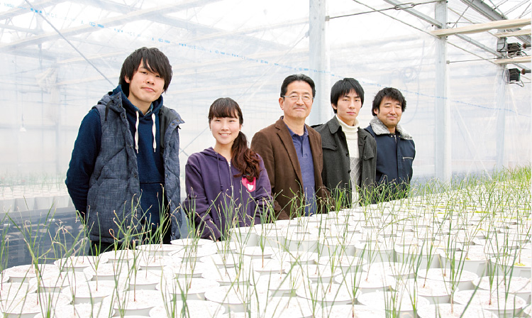 研究に励む学生たち。実験装置はすべて自前で作っており、電気・水道工事なども手掛ける